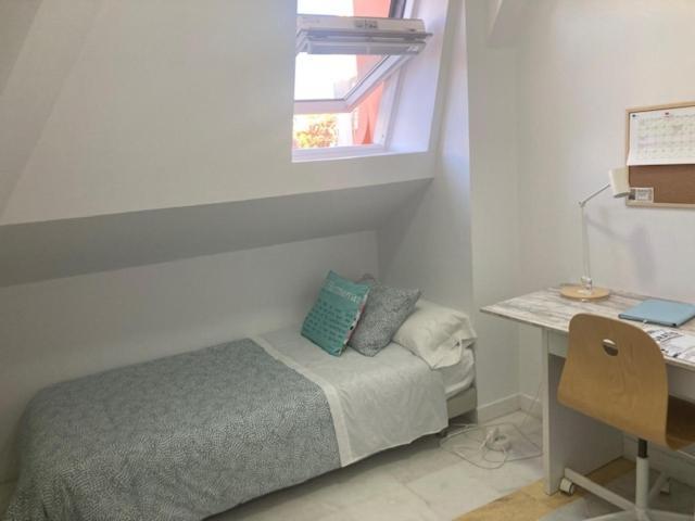 Colegio Mayor Careu - Women Only - University Community Σεβίλλη Εξωτερικό φωτογραφία