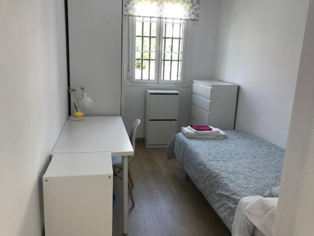 Colegio Mayor Careu - Women Only - University Community Σεβίλλη Εξωτερικό φωτογραφία