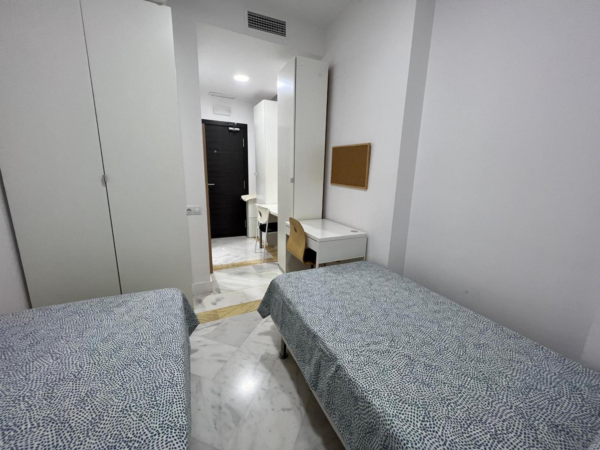 Colegio Mayor Careu - Women Only - University Community Σεβίλλη Εξωτερικό φωτογραφία